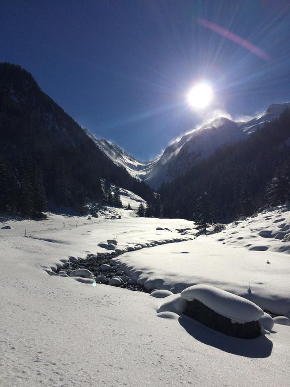 Martlerhof Leilighet Aschau Im Zillertal Eksteriør bilde